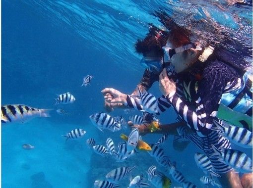 Sea World(シーワールド)