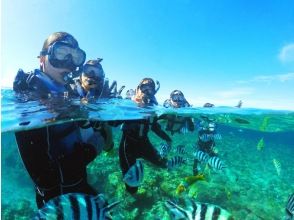 那覇発・慶良間諸島半日シュノーケリング★2エントリーなので海中時間たっぷり★船酔いが心配な方に・揺れに強い大型船★写真＆ドリンク無料★