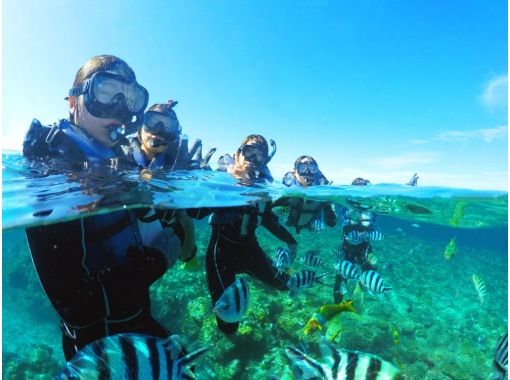 那覇発・慶良間諸島半日シュノーケリング★2エントリーなので海中時間たっぷり★船酔いが心配な方に・揺れに強い大型船★写真＆ドリンク無料★の画像