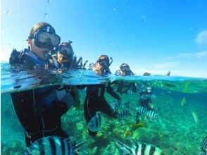 《全国旅行支援クーポン対象》那覇発・慶良間諸島半日シュノーケリング★船酔いが心配な方にオススメの揺れに強い大型カタマラン船★写真＆餌付け無料の画像