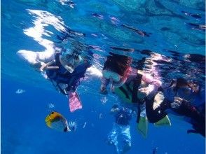 【沖縄・那覇発】チービシ諸島でシュノーケル&パラセーリング&マリンジェット(ヤシガニコース)の画像