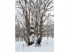 【北海道・大雪山】絶景スノーシュー★天人峡 森の神様コースの画像