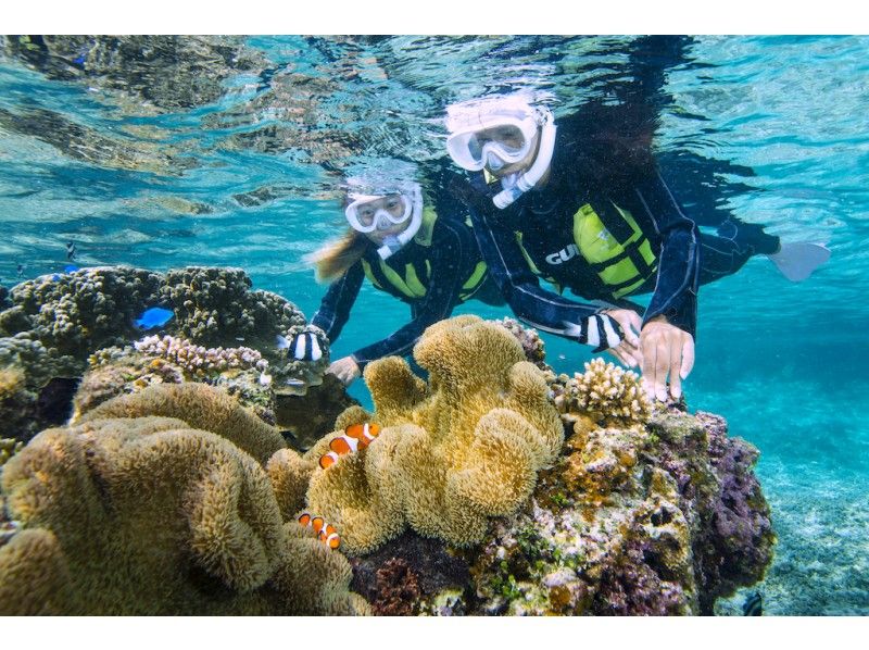 【沖縄・宮古島】シュノーケルパック（2本）♪ウミガメツアー＋サンゴツアー！シャワー・ドライヤー完備♡