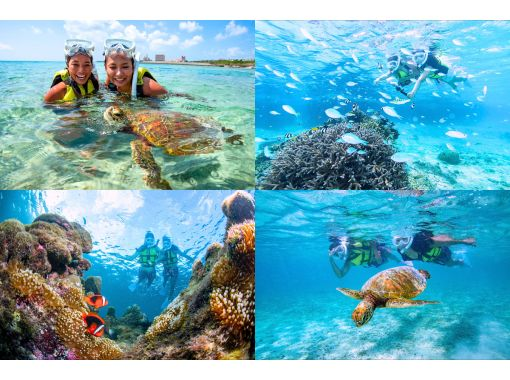 [Okinawa/Miyakojima] \ Great value set plan / Sea turtle & coral snorkeling 2-pack tour! Held for beginners ♡の画像