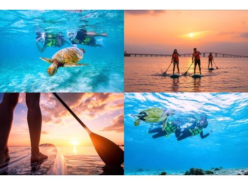 ＼宮古島の定番／ウミガメシュノーケル＆サンセットSUPツアー｜再チャレンジ無料保証｜GoPro写真＆動画無料｜温水シャワー、ドライヤー完備♡の画像