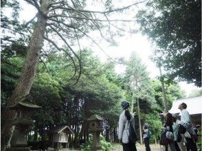 【山陰・大根島】島の暮らしに触れる旅♪ブラだいこんサイクリングガイドツアー