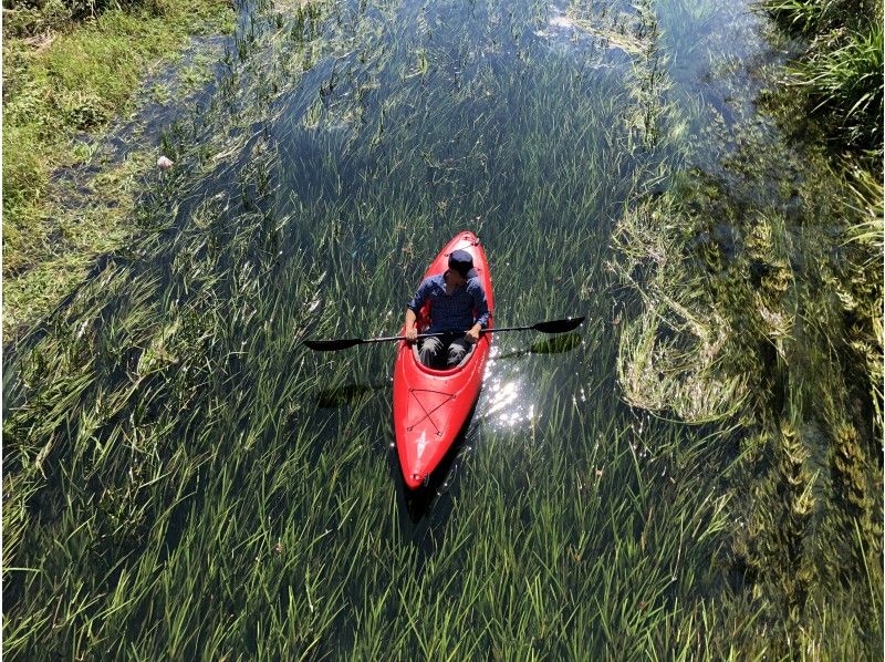 【岐阜・大垣市】水草鑑賞☆美景美水 エコツアー
