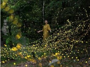 石垣岛探险 PiPi