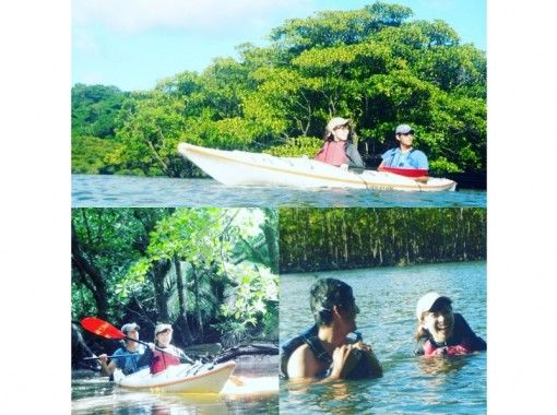 【 Okinawa · Iriomote Island】 One set per Sun limited plan! Sun this largest mangrove authentic go the virgin forest of the Kayak tourの画像