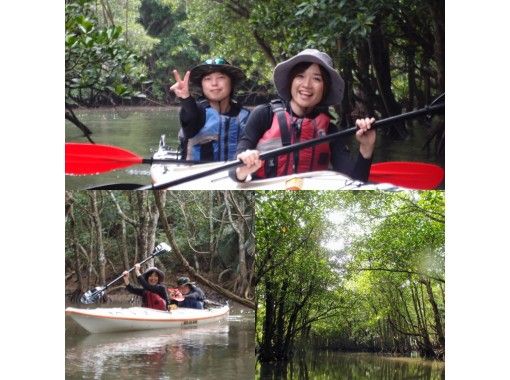 【 Okinawa · Iriomote Island】 One set per Sun limited plan! Canoeing and jungle trekking tours going through mangrove forestsの画像