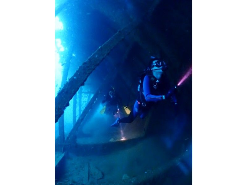 【静岡・伊豆・熱海】海中世界を覗こう ♪ ２ボート・ファンダイビング（ライセンス必須・6時間）