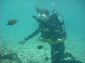 【沖縄・北部】美ら海水族館近くで、パラセーリング&体験ダイビング(ジンベイコース)の画像