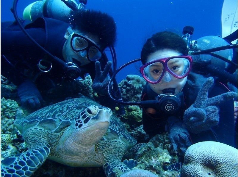 ウォータースライダー付きの船で行く、慶良間半日OPG体験ダイビング&シュノーケルツアー
