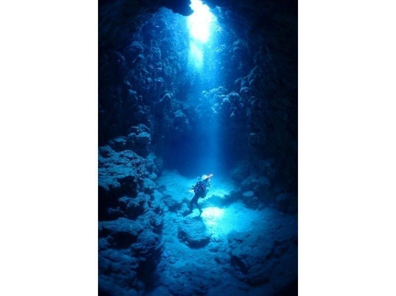 宮古島ボートファンダイビング　３ダイブ　水中ライト＆ＧｏＰｒｏ無料レンタル！！ランチ付き！！！