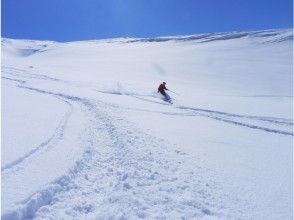 【北海道・大雪山】パウダースノー三昧!バックカントリースキーコースの画像