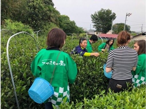 【埼玉・所沢】東京から１時間足らず！トトロの森の日本茶体験(6月30日)の画像