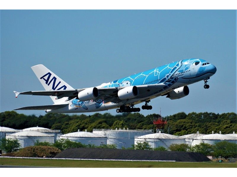 【千葉・成田空港・見学ツアー】成田空港見学ツアー(入門編) 空港見学＆ウミガメ”捕獲”大作戦♪