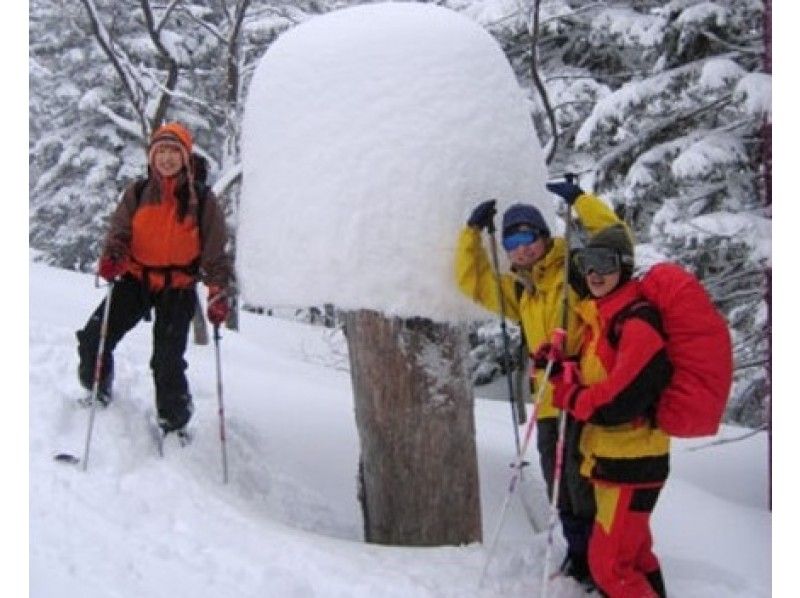 【北海道・大雪山系】三段山絶景スノーシュー「吹上温泉コース」ふわふわの雪で足取りも軽く進める！の紹介画像