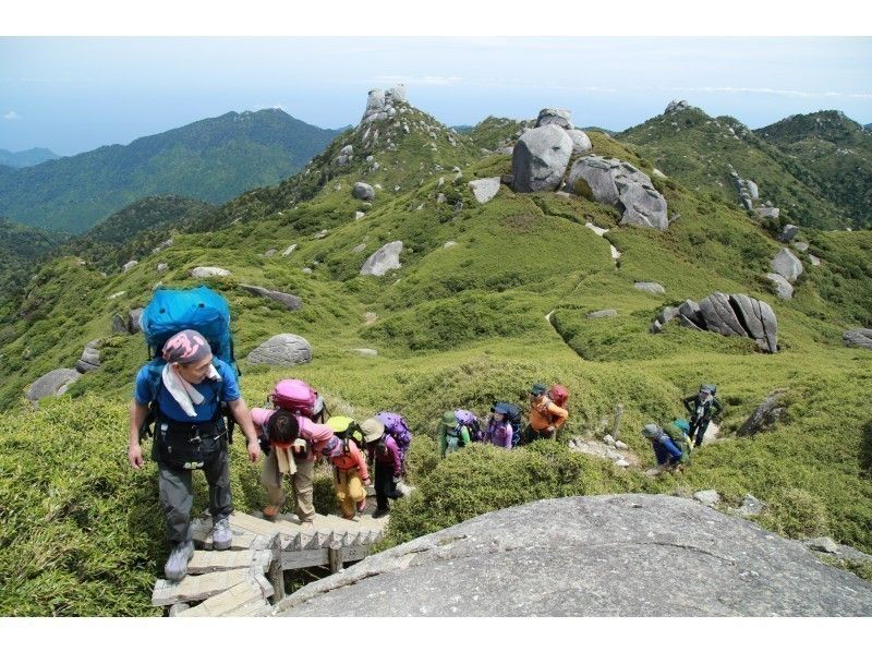 1名でも即予約確定！屋久島縦走ツアー【無料レンタル付で身軽に屋久島】宮之浦岳～縄文杉を制覇！