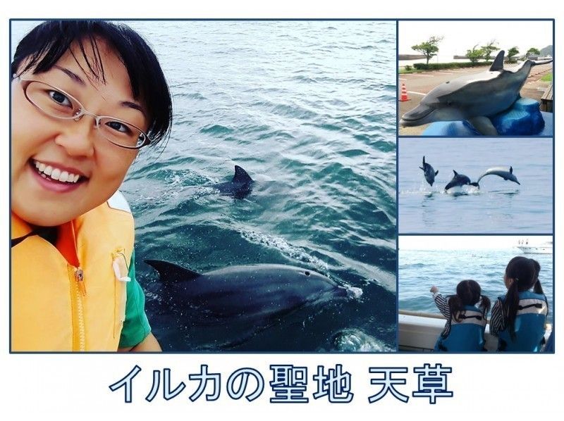 【イルカの聖地 天草】 専従ガイドがご案内! ワンランク上のイルカウォッチング