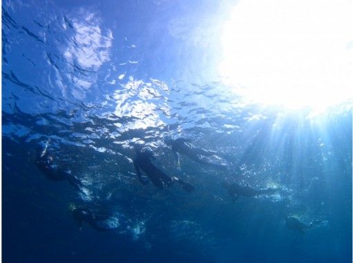 【湯河原・真鶴・小田原】気軽に参加できるでスノーケリングプラン【半日コース】の画像