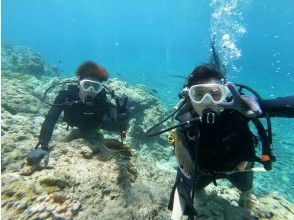 【沖縄本島、北部】セットでお得♪スタンドアップパドルと水中を楽しむ体験ダイビングのセットメニュー☆