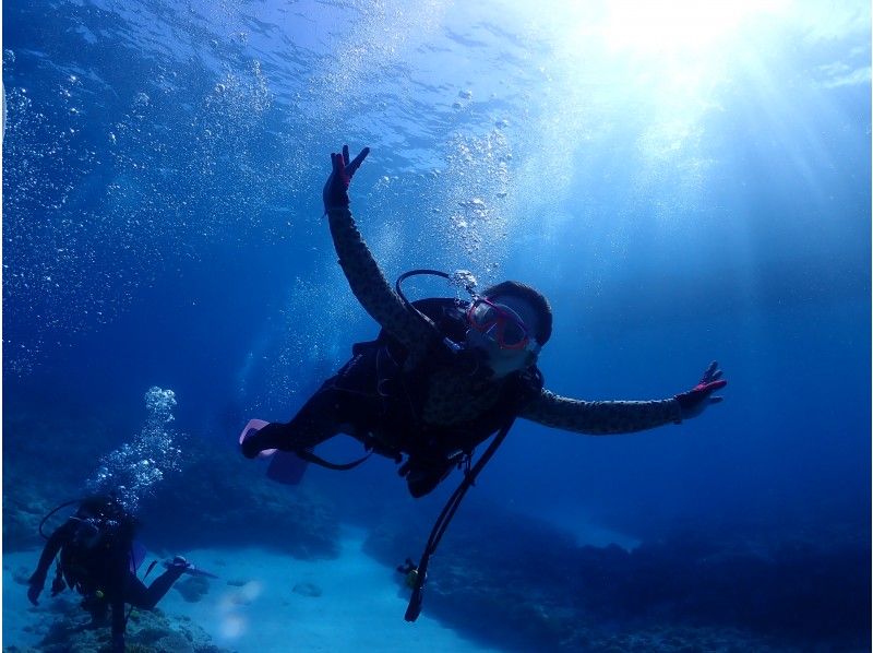 免費接機，照片和視頻!! [沖繩縣/赤壁群島]赤壁半日體驗潛水（2次潛水）の紹介画像