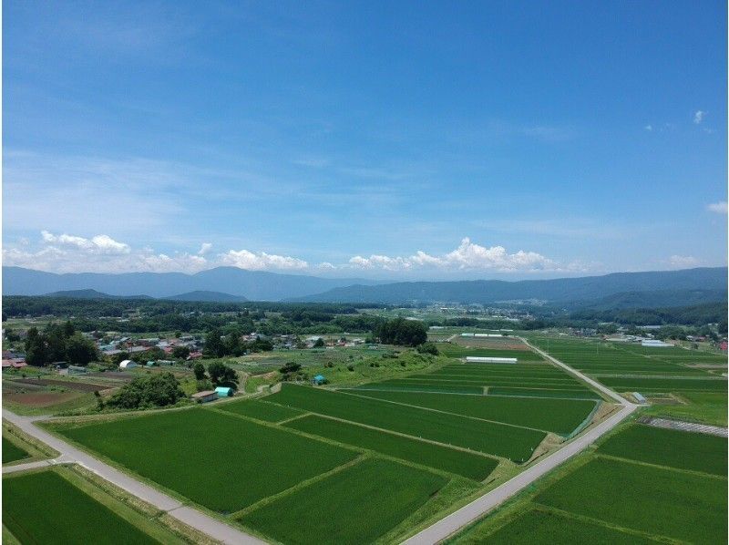 【長野／八ヶ岳】レンタルバイクで憧れのロングライドへ - 1日乗り放題