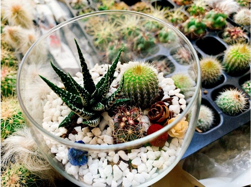 [Osaka ・ Shinsaibashi] Cactus glass ★ Handmade experienceの紹介画像