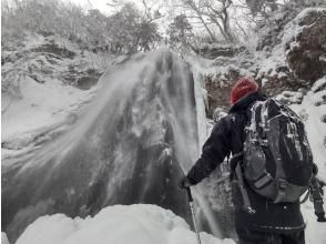 春茶屋活動