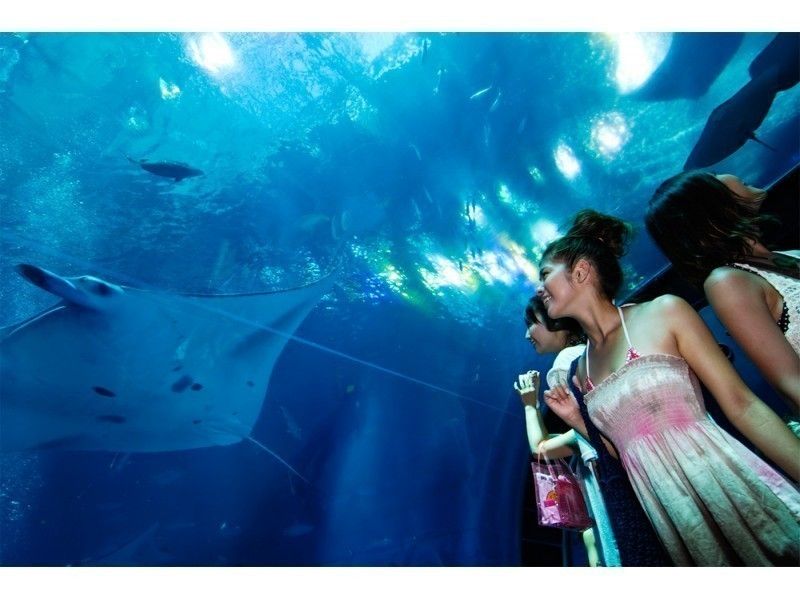 【沖縄・北谷発】沖縄美ら海水族館とブセナ海中展望塔・古宇利島バスツアー(B-2コース)