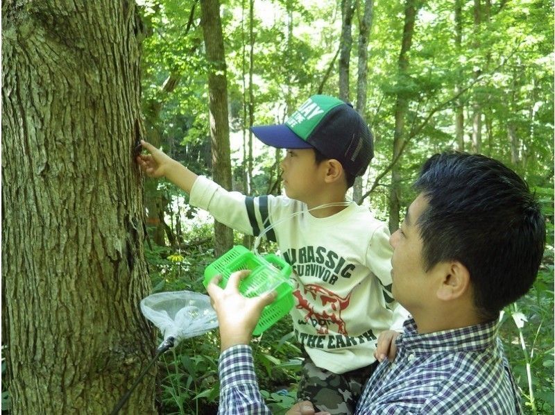 【北海道・富良野】大自然の中で昆虫採取！取った昆虫はケースに入れてお持ち帰り♪体験写真プレゼント付☆