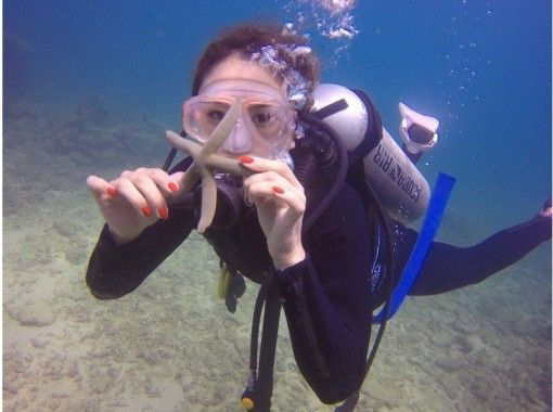 冲绳体验潜水