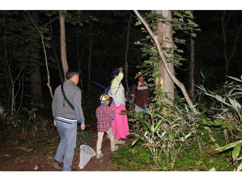 【北海道・ニセコ】夜の森冒険ツアー★ニセコの森の中へ色々な生き物を探しに冒険に出かけよう！