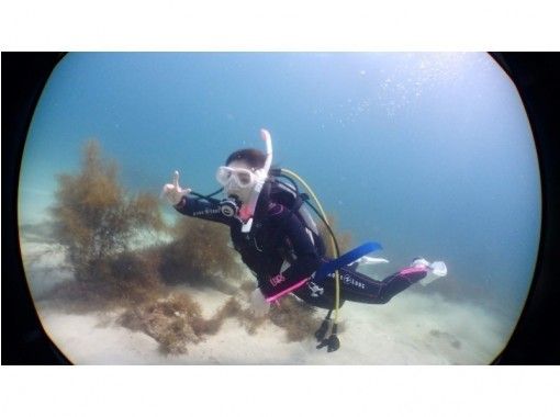【伊豆・下田】下田ブルーの海で体験ダイビングの画像