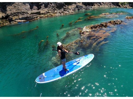【松島半日】経験者向け！日本三景の絶景と島々を巡るプレミアムSUPクルージング【写真データ/備品レンタル無料】の画像