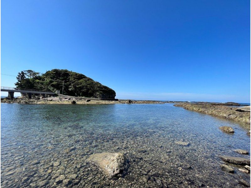 【伊豆・下田】恵比須島・シュノーケリングツアーの紹介画像