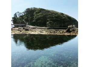 【伊豆・下田】恵比須島・シュノーケリングツアーの画像