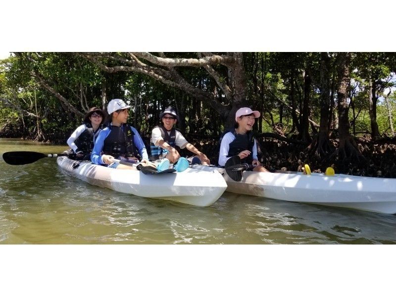 [沖縄-石垣島]與大自然一起放鬆！ Miyara River Mangrove獨木舟之旅3小時！隨著亞熱帶森林徒步旅行の紹介画像