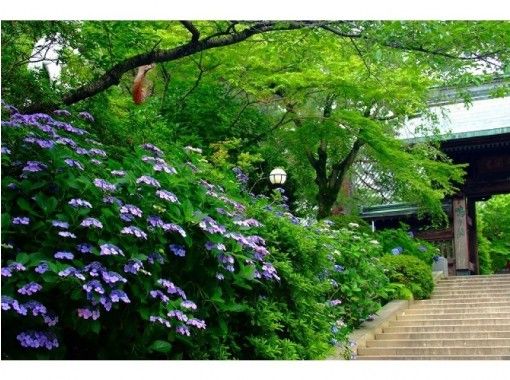 Tachikawa City - Temples & Shrines - Culture - Japan Travel