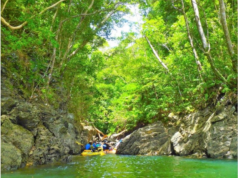 【やんばるの森の秘境ツアー】ウコール山コース