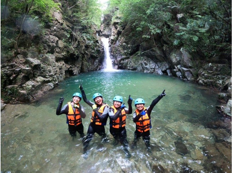 [Okinawa ・ Nago City] Soaking wet Required! Full-fledged jungle adventure courseの紹介画像