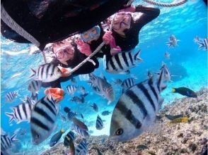 [Onna Village Blue Cave] Private tour for mom and dad! Boat snorkeling in the Blue Cave for ages 2 and up! Private photographer included☆)