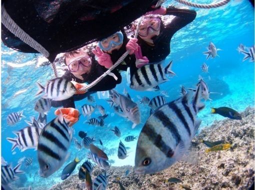 [Onna Village Blue Cave] Private tour for mom and dad! Boat snorkeling in the Blue Cave for ages 2 and up! Private photographer included☆)の画像