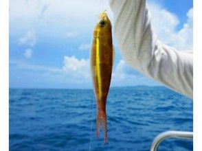 [Okinawa, Taketomi Island] Leisure fishing (boat fishing) * Feel free to participate!の画像