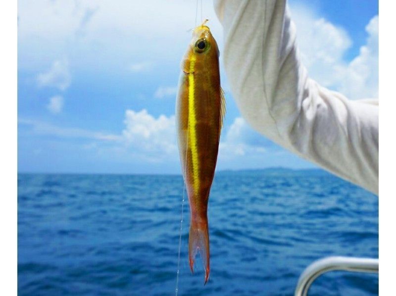 【沖縄・竹富島】レジャーフィッシング(船釣り)※気軽にご参加できます!