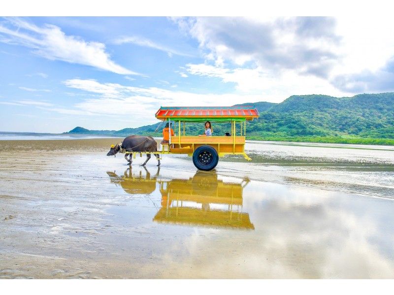 【沖縄・西表島】【1日】「幸運の滝 」を目指す!選べるSUPorカヌー&由布島観光【写真データ無料】