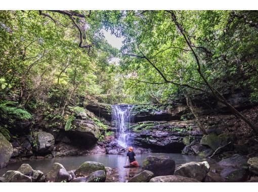 Iriomote Island ADVENTURE PiPi