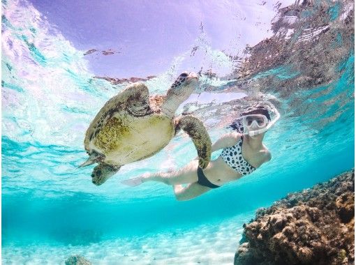 徹底介紹10月沖繩旅行，熱門活動體驗遊！浮潛