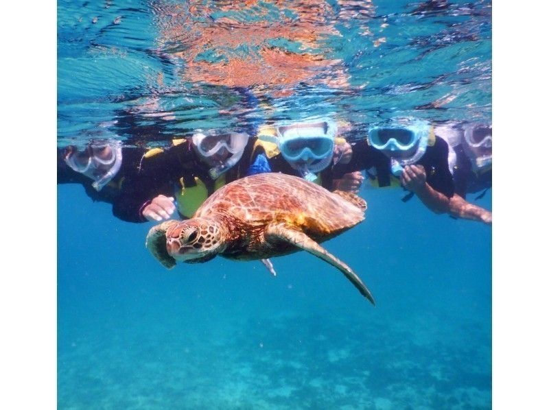 【沖縄・宮古島】1組貸切制★ウミガメシュノーケリング!!ニモちゃんとサンゴも見れます♪3歳~OK